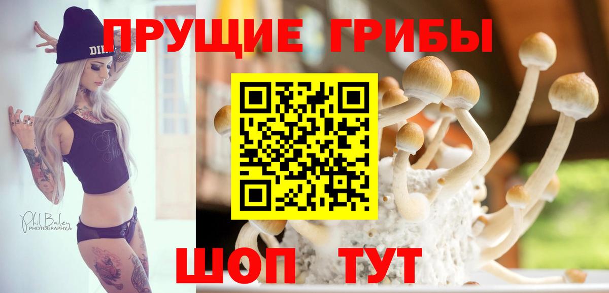 Галлюциногенные грибы Psilocybe  Вход с VPN  Пугачёв 