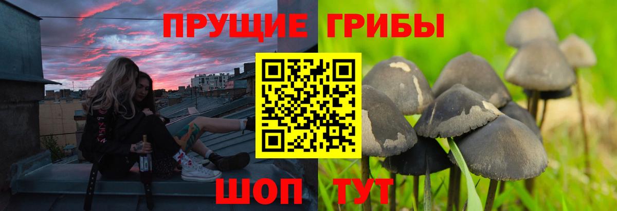 Галлюциногенные грибы прущие грибы Пугачёв