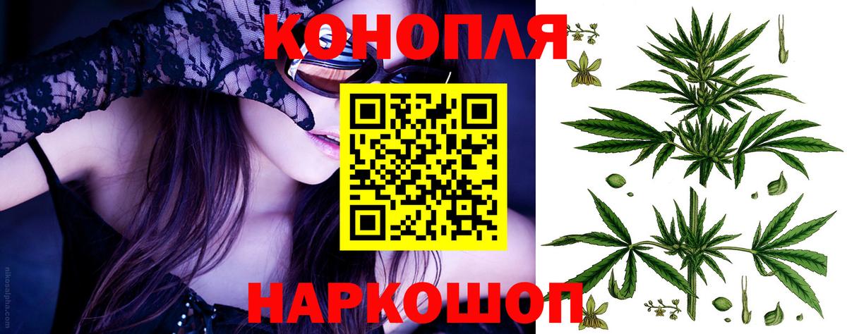 Шишки марихуана марихуана Пугачёв